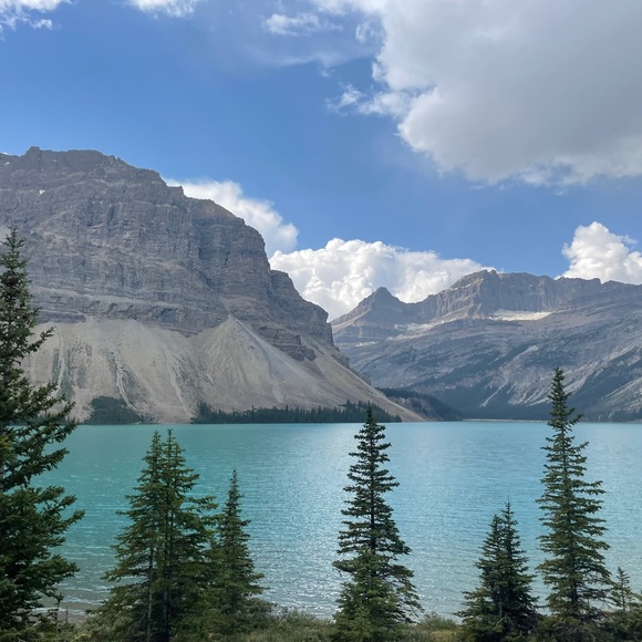 Meet the Posher ☀️ - Picture 3 of 3